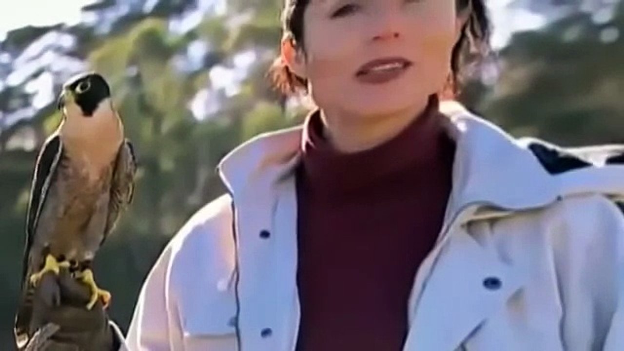 Animal Attack Documentary | Wildlife Documentary