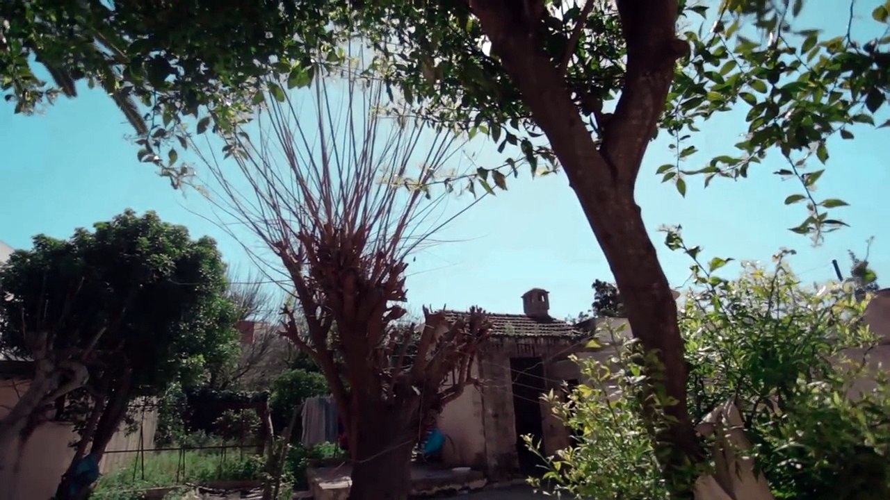 7Liwa MI AMORE ft X A6 GANG X TOTO X ZEROTEN X 7ARI [Clip Officiel] #WF7