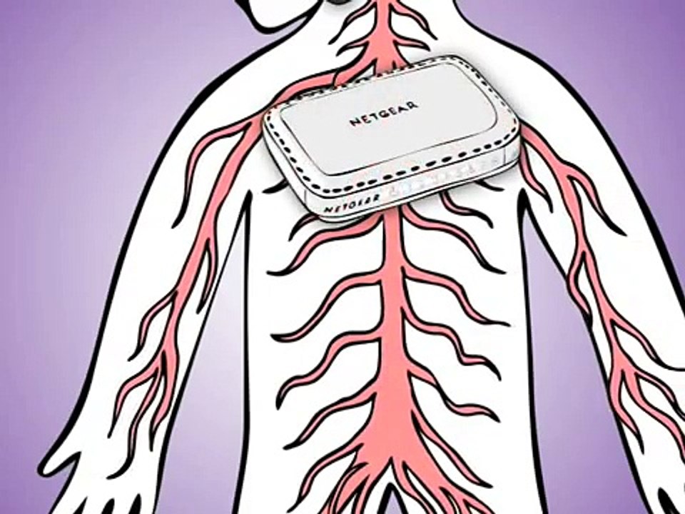 How computer networks connect and work