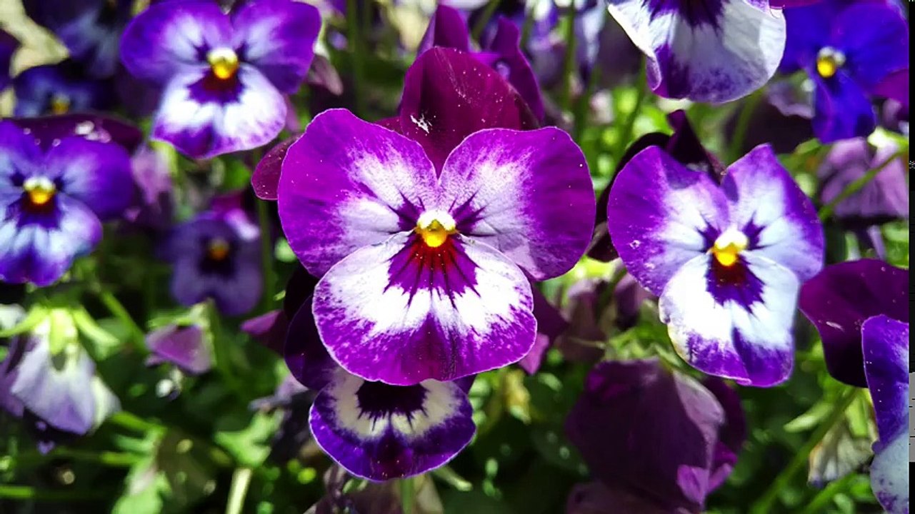 Blackberry KEYone- Unboxing & Review