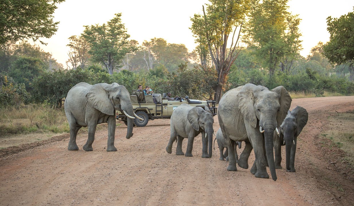 Zambia Travel Vlog Trailer