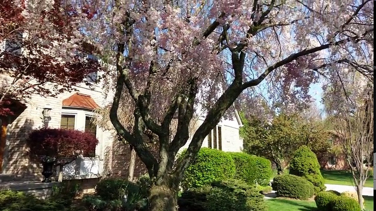 HTC 10- Unboxing & Review