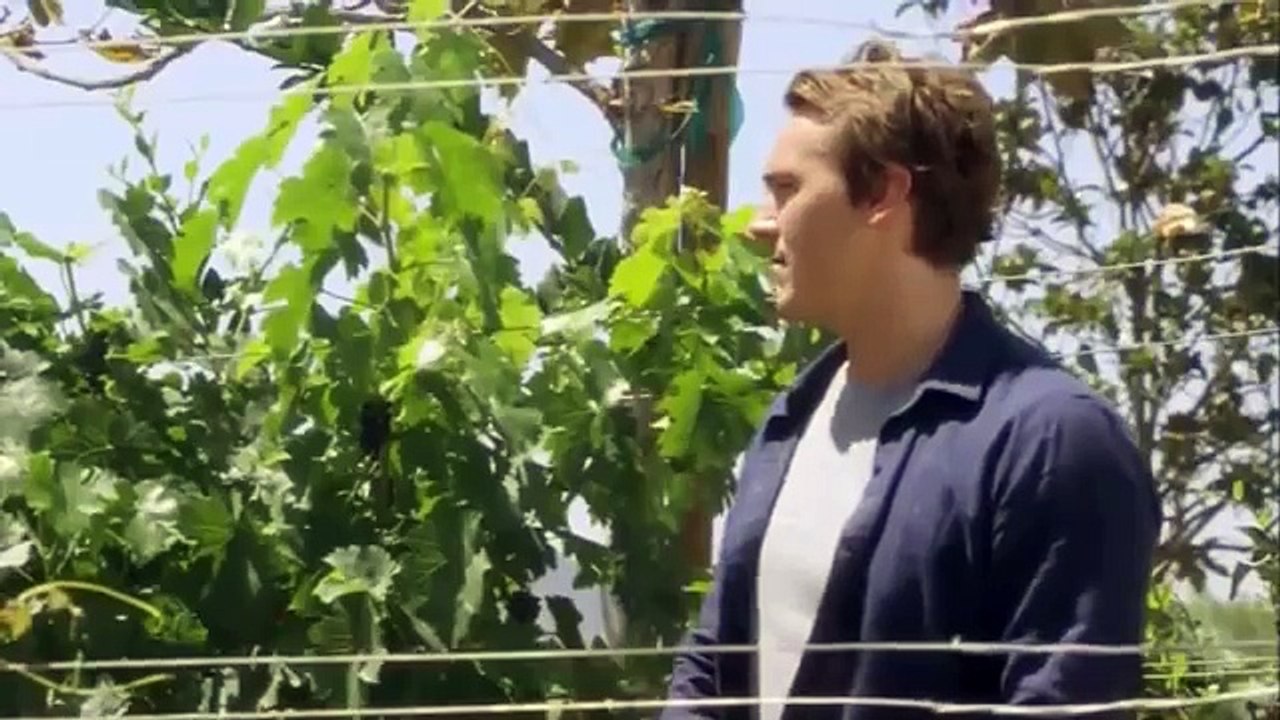 Hallmark Movies 2017 When Sparks Fly TV Movie Hallmark romantic comedy movies by Johnnie N