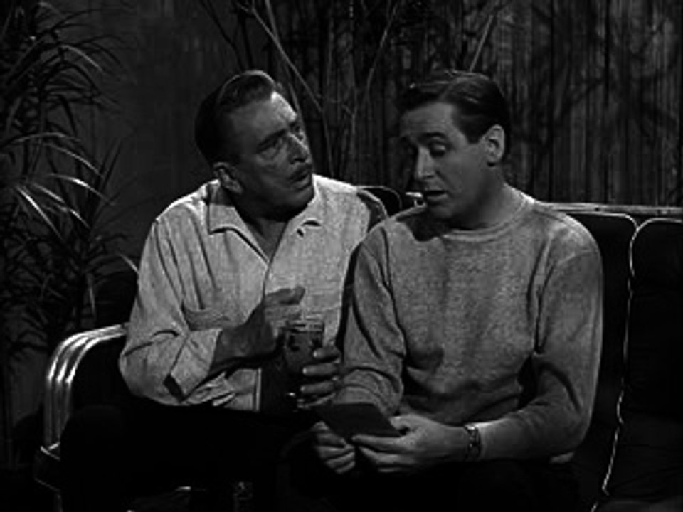 Mister Ed Season 5 Episode 6 - Ed the Pilot ✈️