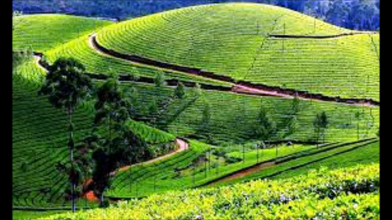 Pyar Kiya Toh Nibhana.................