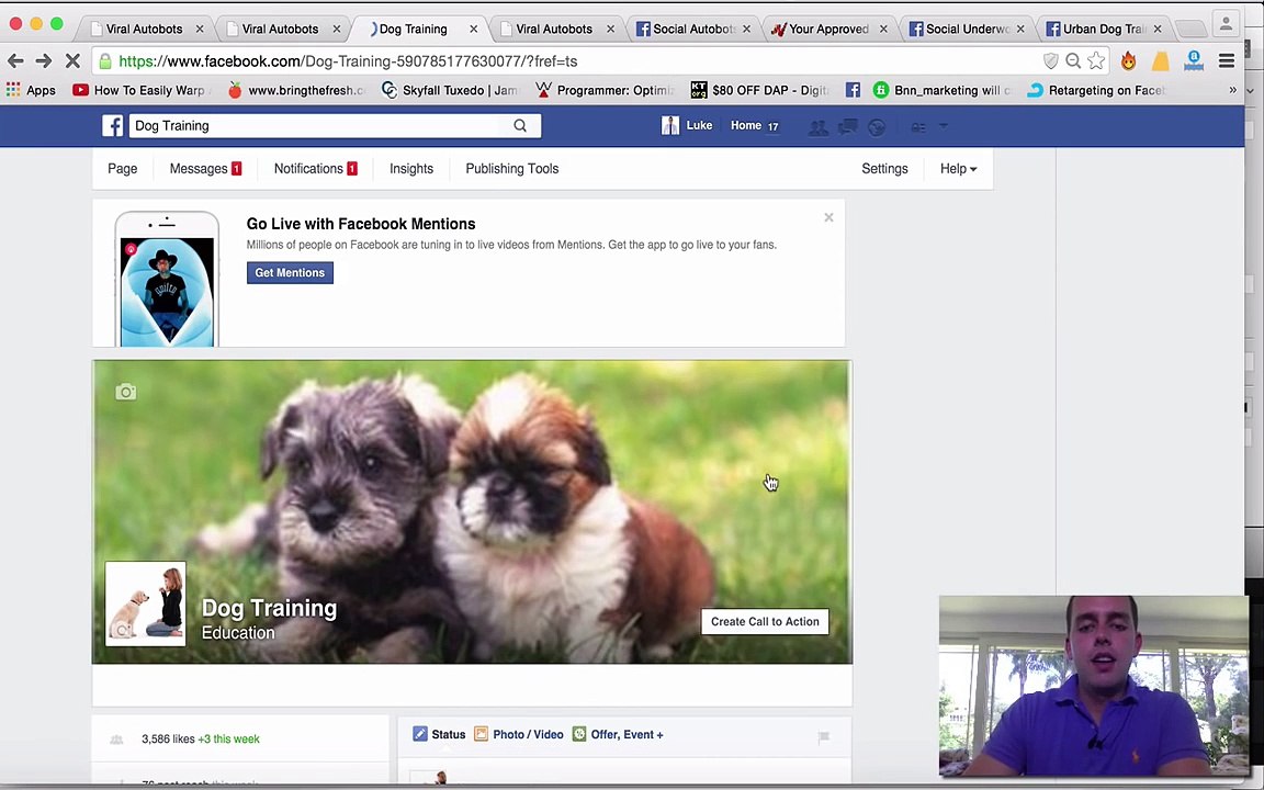 Viral Autobots Software Demo - Understanding Its Functionality