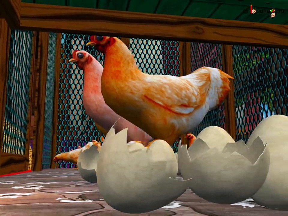 Discover the Amazing Types of Animals! 🐾 | Fun Science for Kids