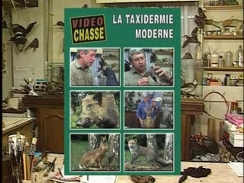 La taxidermie moderne