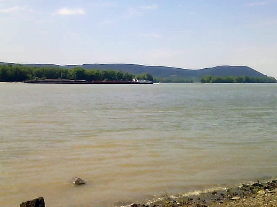 Edited TestVid_121338_x264 - Updated Flußufer Scene 🎬