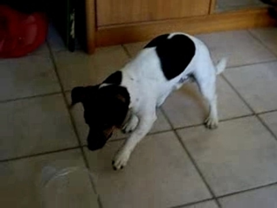 informatique et plastique