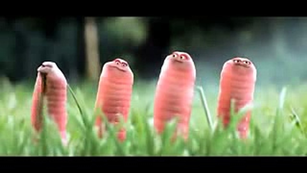 Animasi Ulat Lucu Video Animasi Ulat Lucu