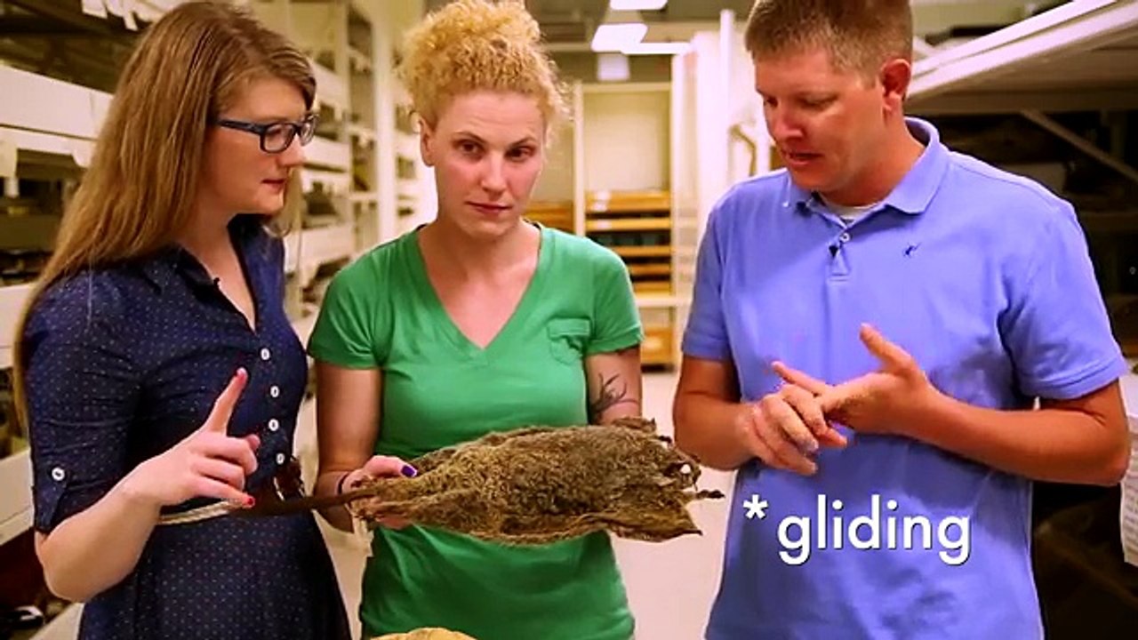 What the Function? with Smarter Every Day!