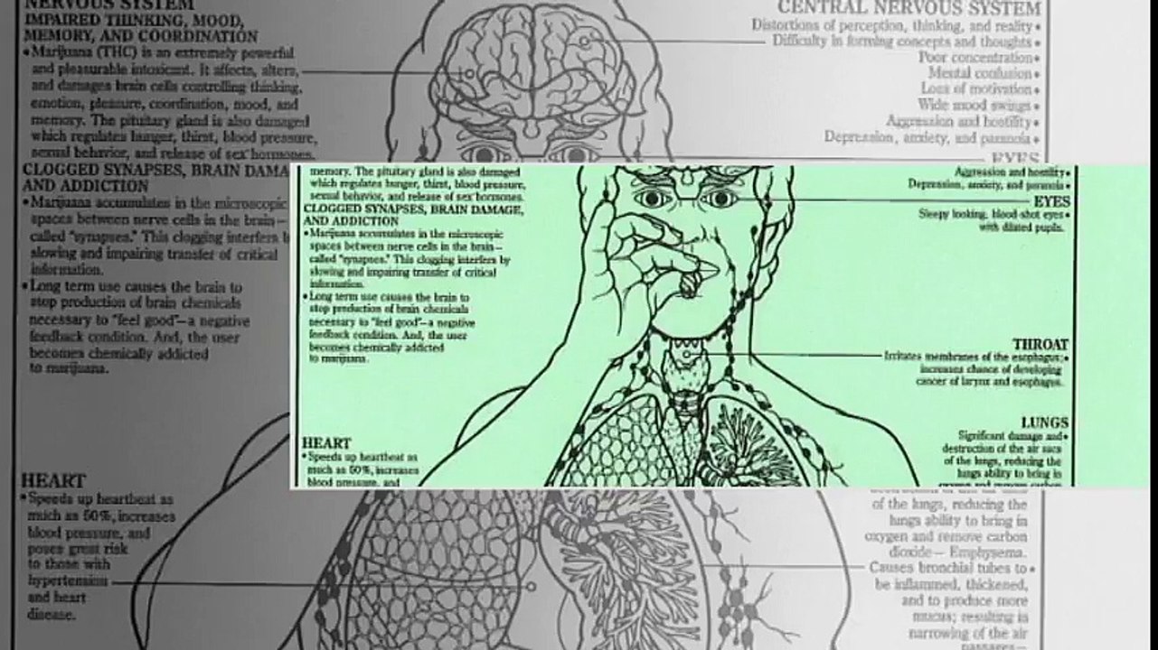 Symptoms of Synthetic