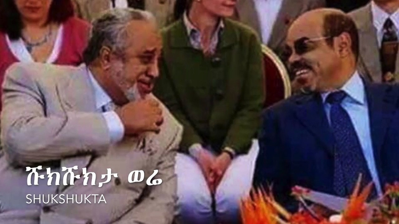 Ethiopia: Mesay Mekonenn On Alamudi's Detention | Must Watch