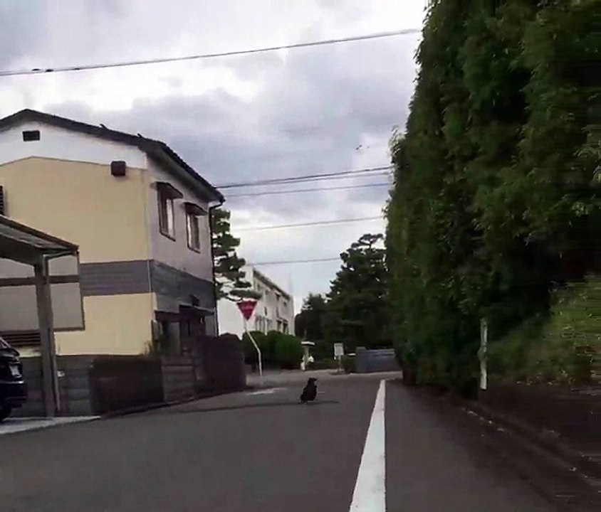 Quand tu sors du boulot