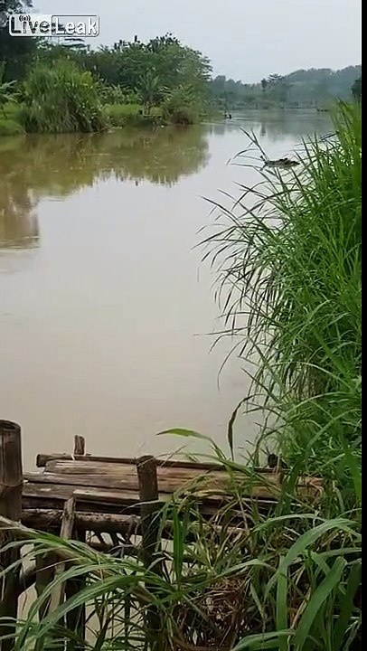 It's A Crocodile...It's A Log....It's Debris....It's WTF Moment