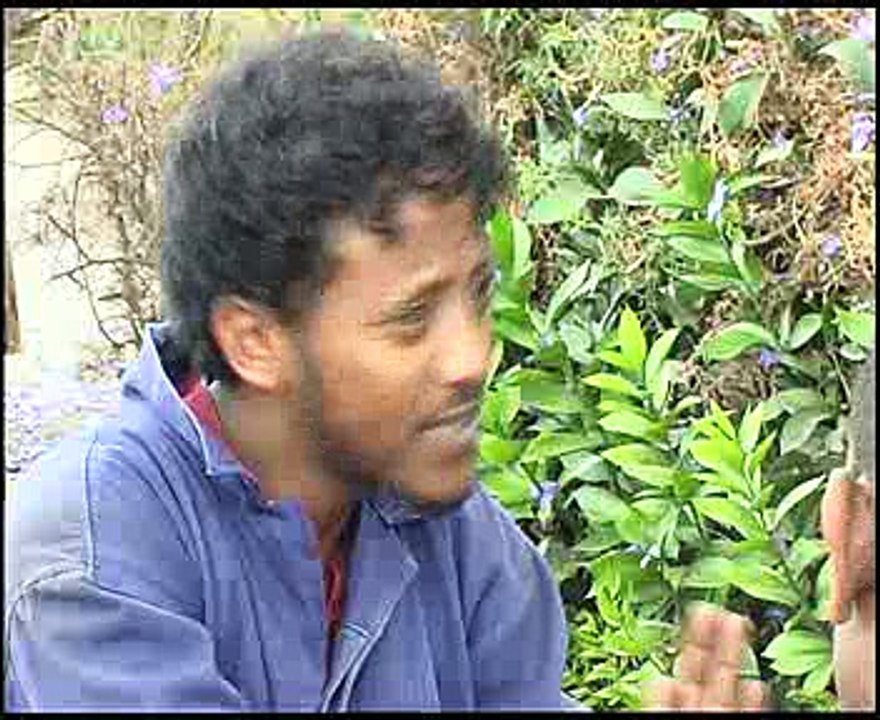 Diary 1/5 Eritrean Movie