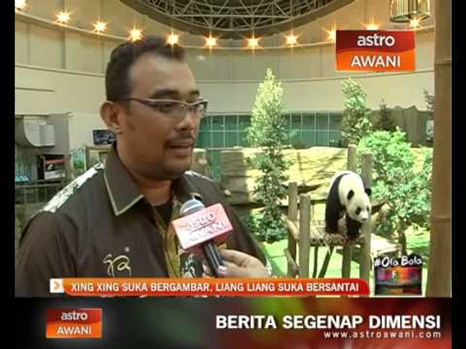 Xing Xing suka bergambar, Liang Liang suka bersantai