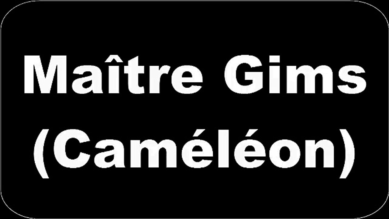 Maître Gims - Caméléon (Paroles)