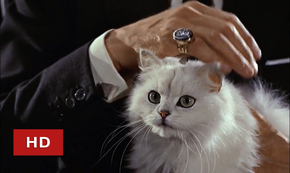 The Meeting Scene | From Russia With Love (1963)