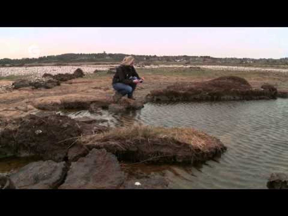 Shifting Shores in Blakeney, Norfolk