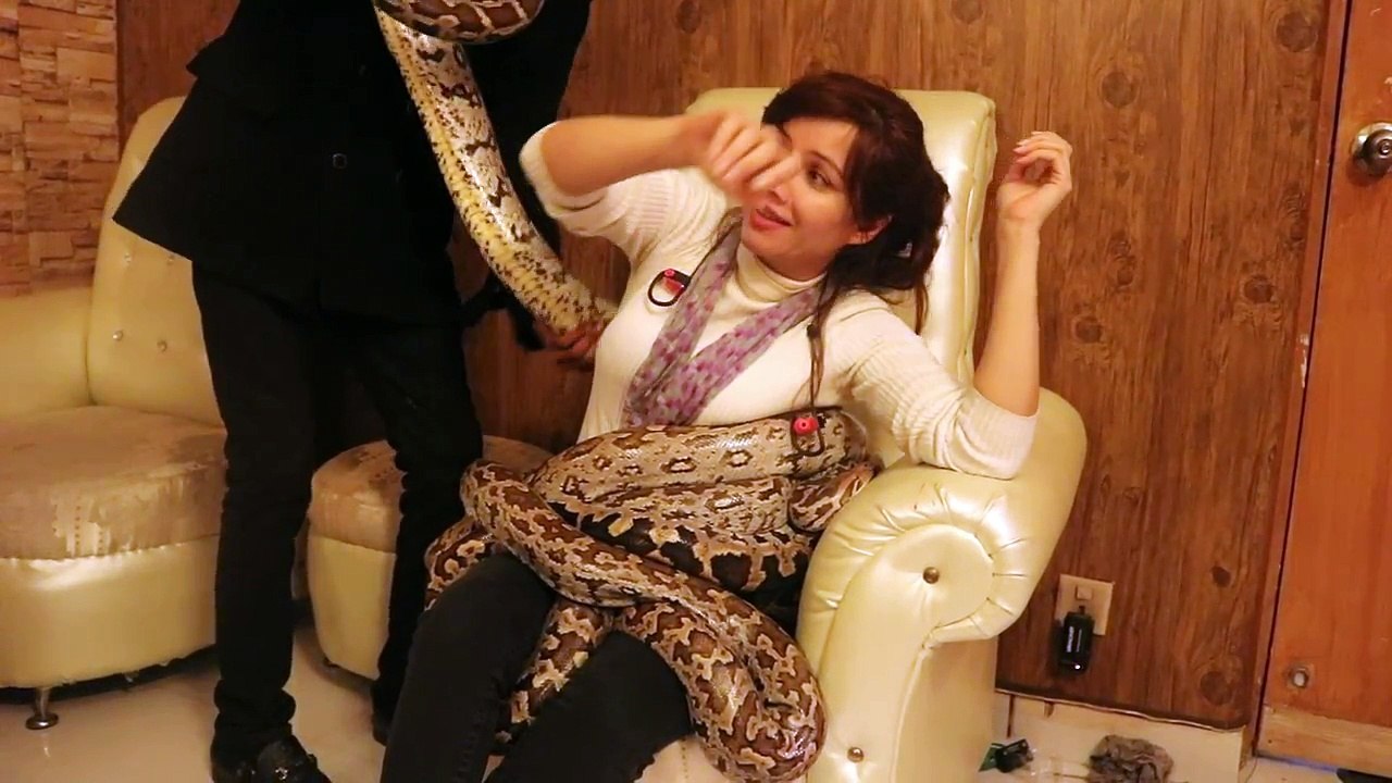 Rabi playing with pythons