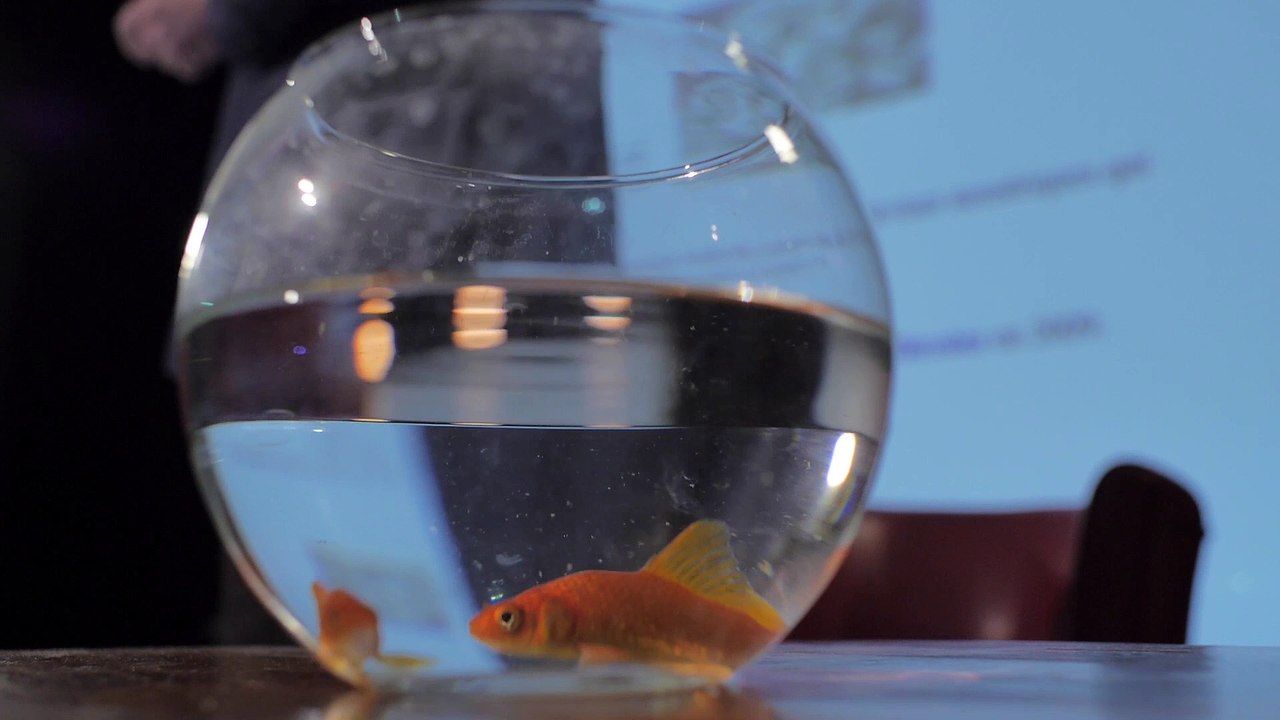 Le Bitcoin : quand la cryptologie réinvente la monnaie / JP Delahaye