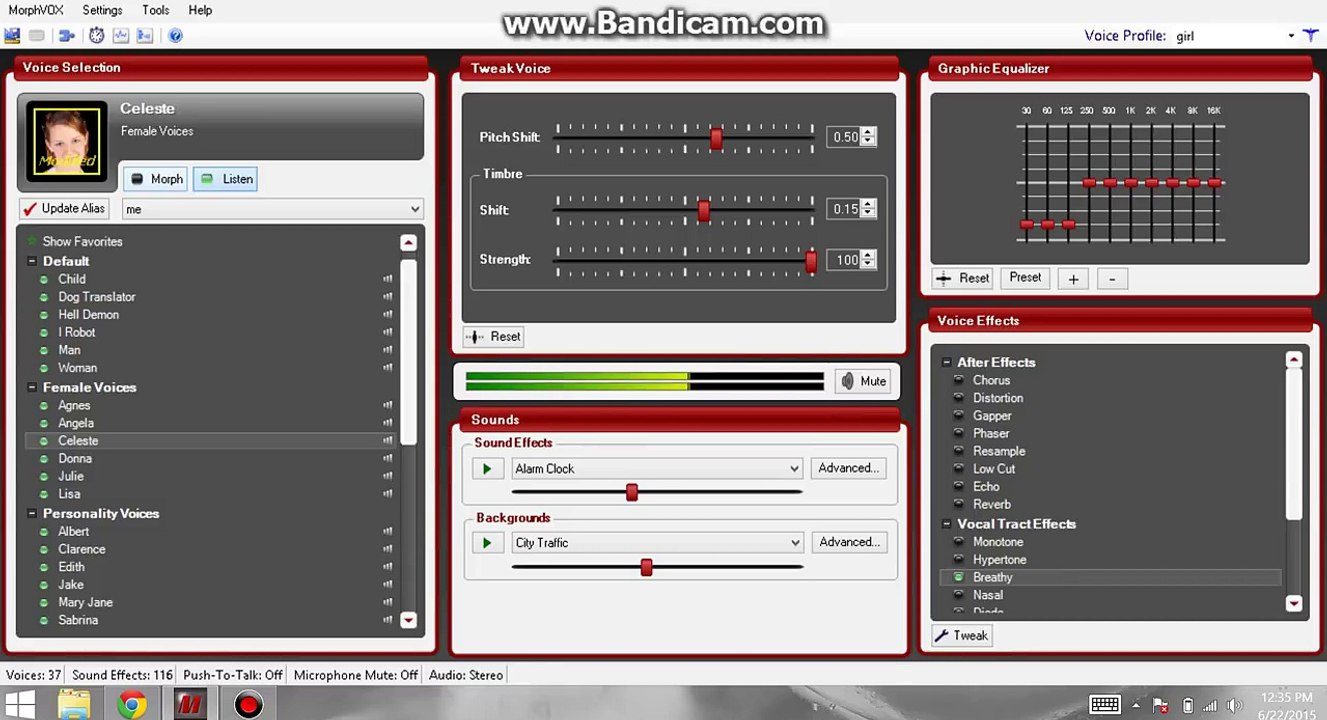MorphVox Pro How to sound like a Girl, and Megatron voice (visual Tutorial)
