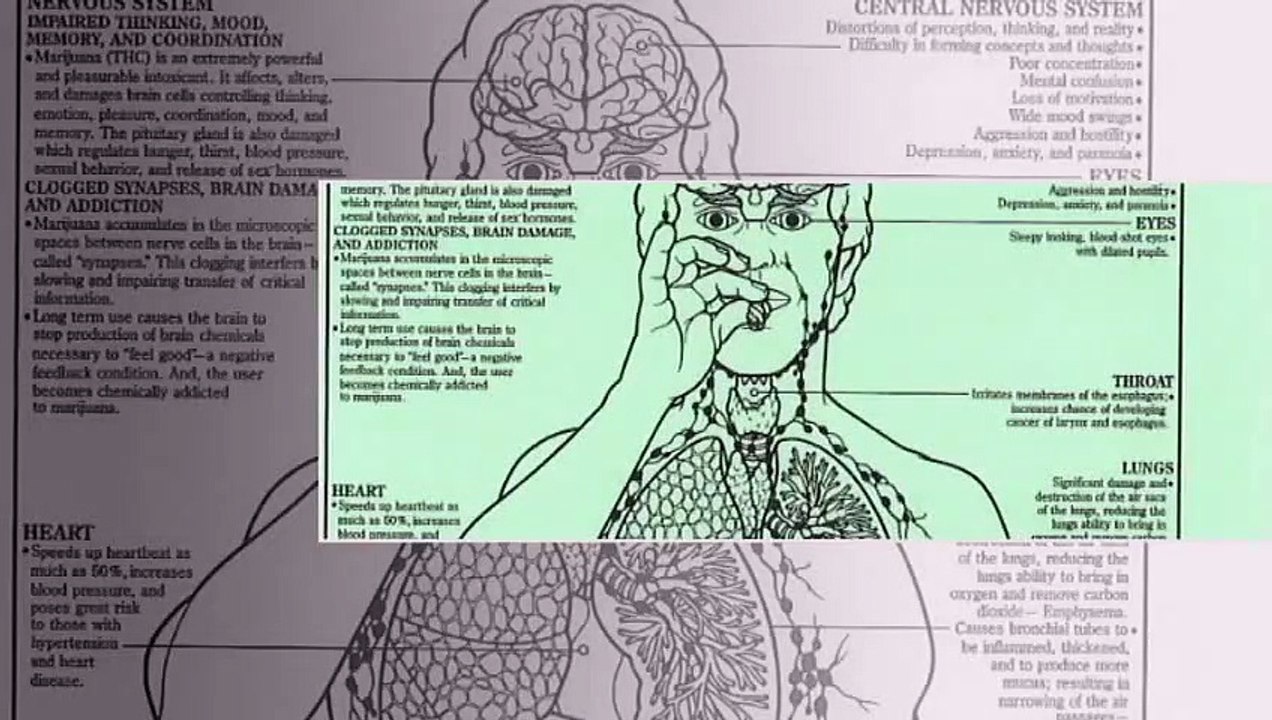 Symptoms of Synthetic
