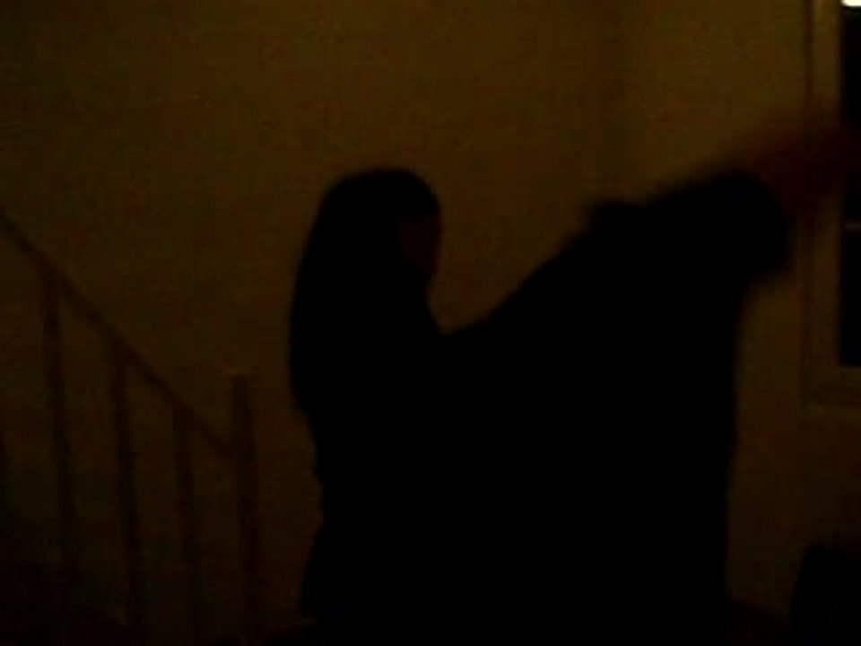 Rock and roll , vane' and seb'