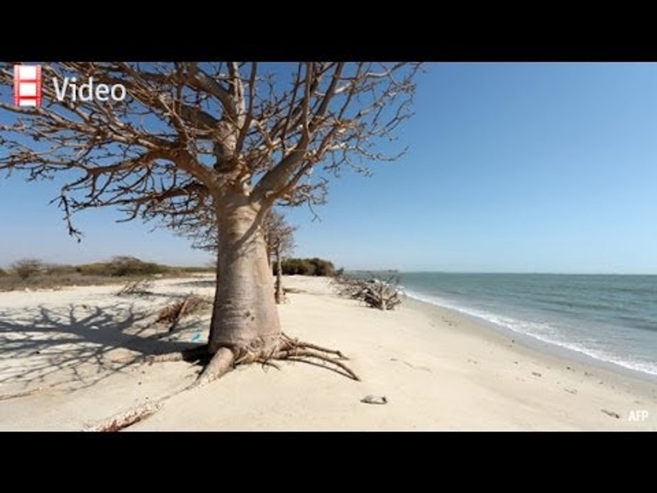 Babbage: A stern warming