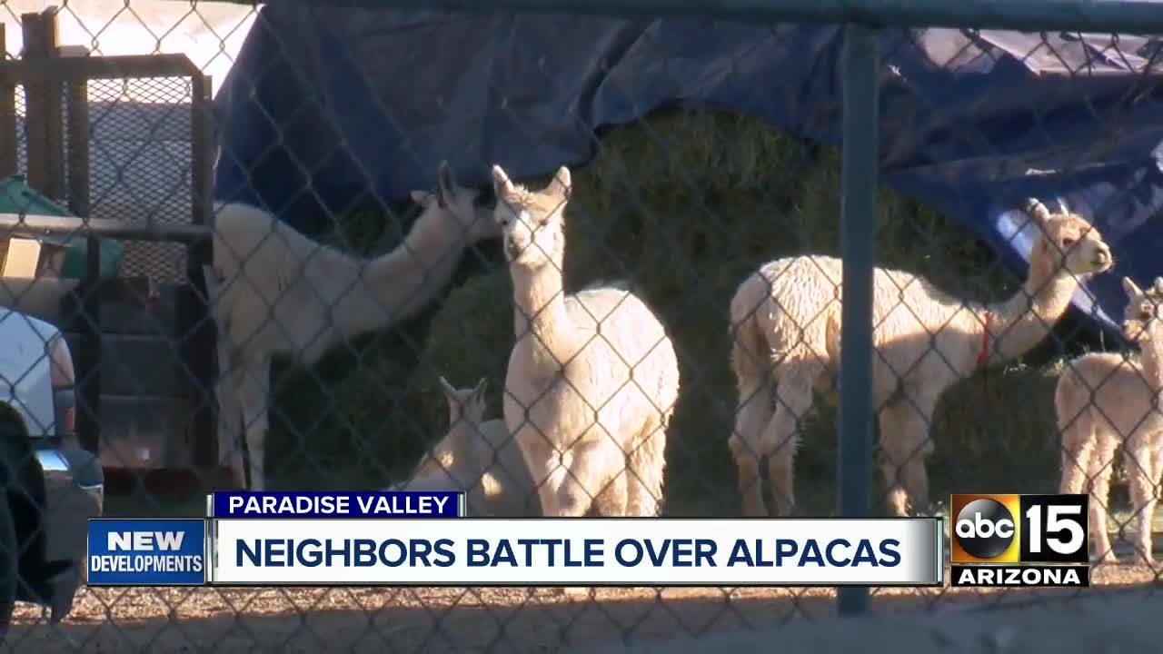 Alpaca problem solved in Paradise Valley