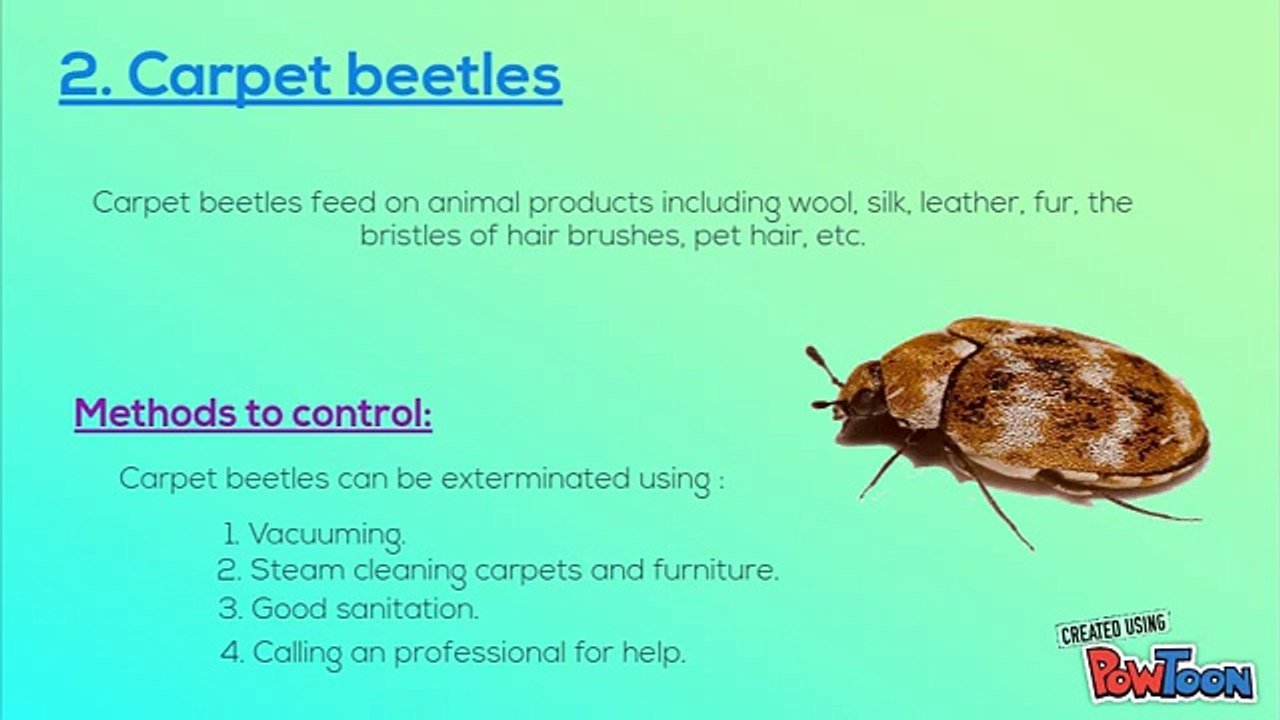 Different types of Pests and their Extermination