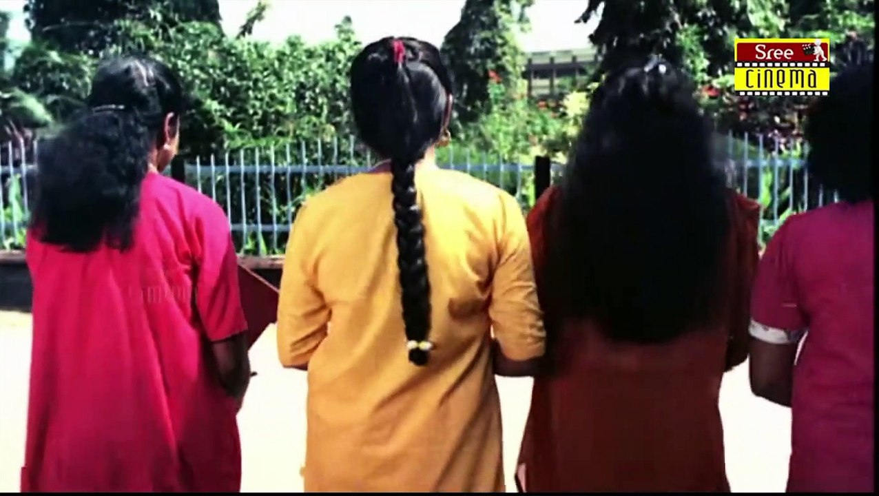 Cult 90s Campus Song