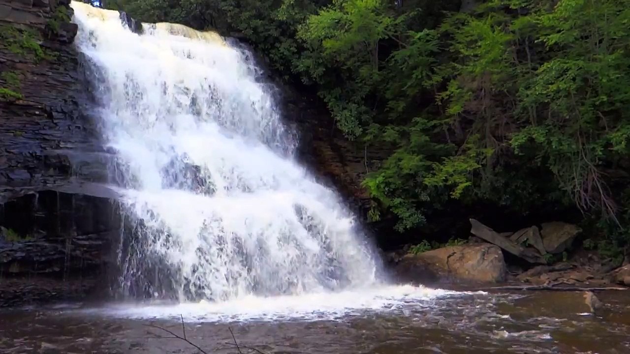 Google has open-sourced the AI tech powering Pixel 2's portrait mode camera