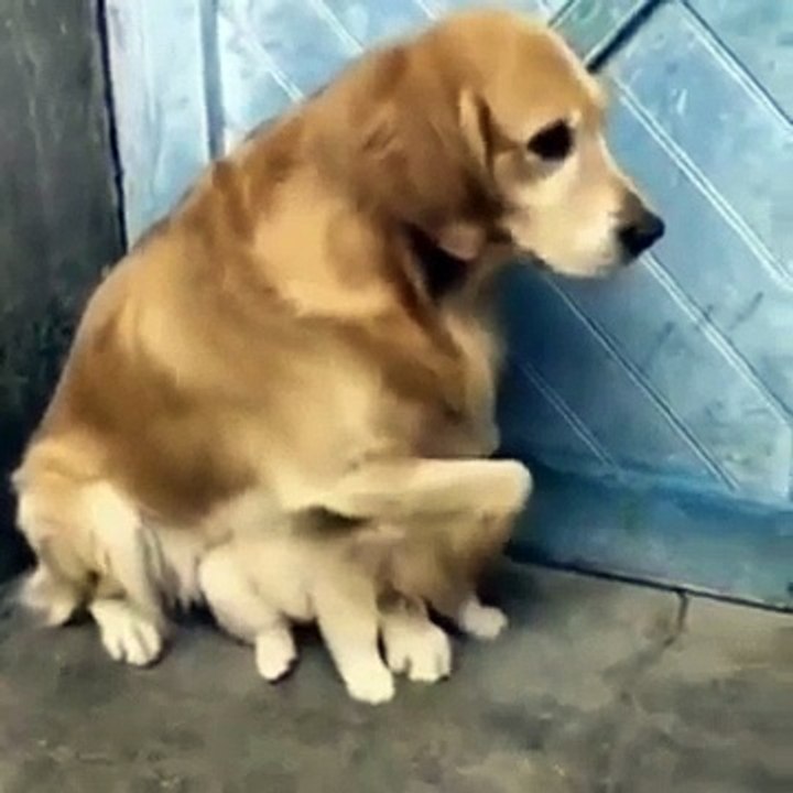 Mother's instinct. ..'don't talk to strangers'