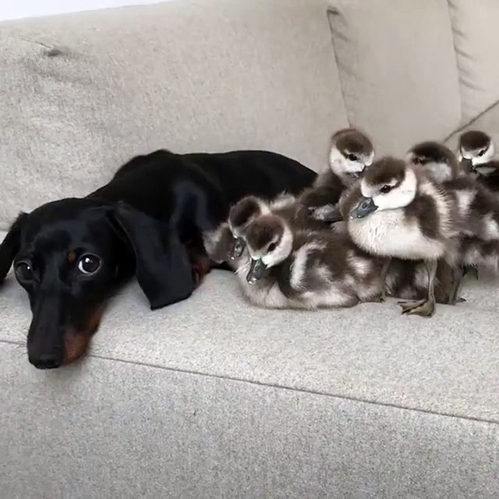 What Is Sweetness? Understanding Its Meaning and Significance 🍬