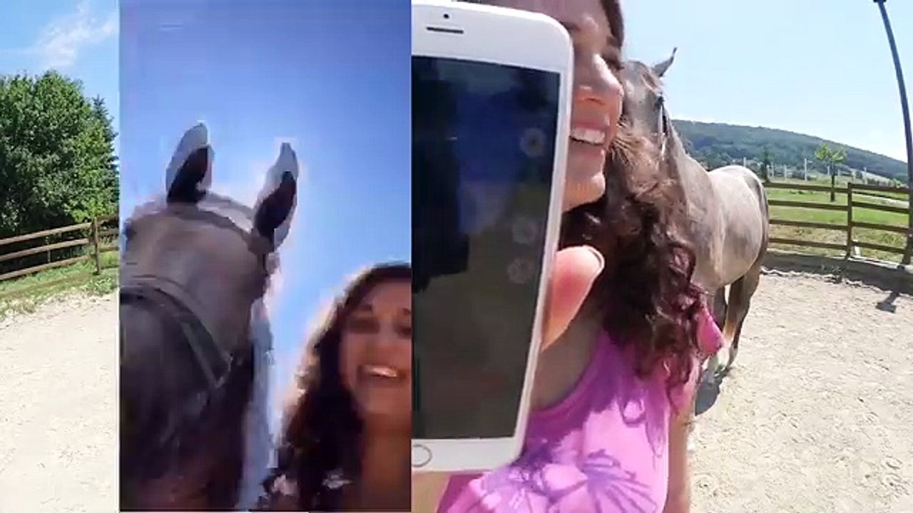 Musical.ly MIT PFERD ✮✮✮✮✮ Tutorial (deutsch) + Outtakes