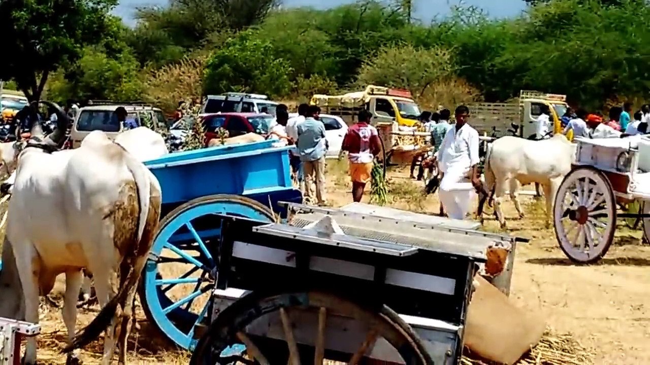 Rackla Race(ivar malai)