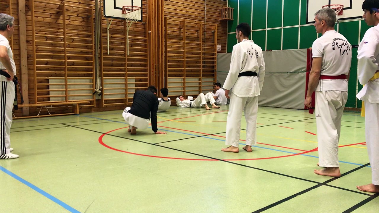 Taekwondo - Injury