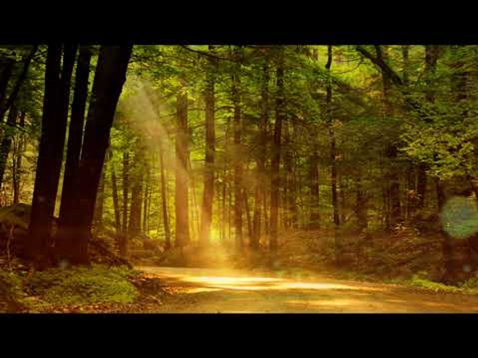 Indian Flute Music : Relaxation Music, Soothing Music, Calming Music, Yoga Music, Healing Music
