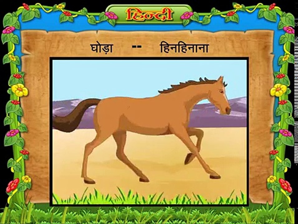 Birds and Animals Names and Sounds