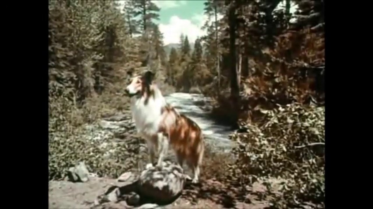 Lassie  Sauve Une Vie épisode 1
