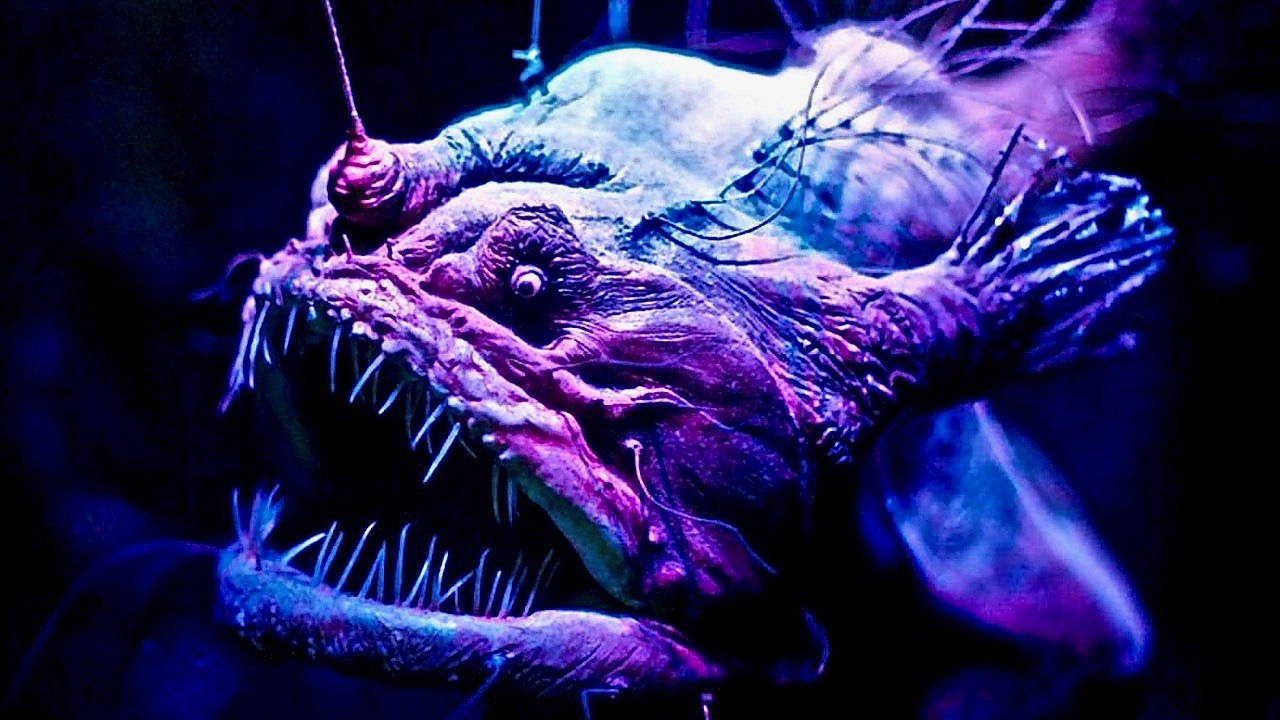 Bioluminescent Creatures - Life & Light - Full Documentary