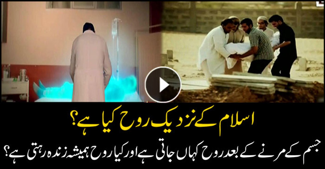 Understanding the Soul in Islam: Its Significance and Beliefs ✨