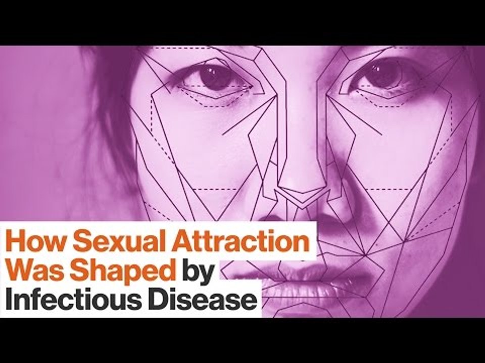 Sexual Attraction Is Shaped by Gut Bacteria, Infectious Diseases, and Parasites | Kathleen McAuliffe