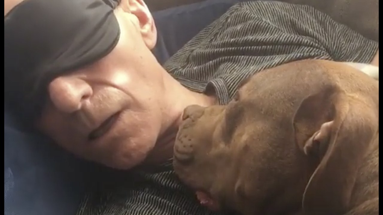Sir Patrick Stewart Fell in Love with His Rescue Dog