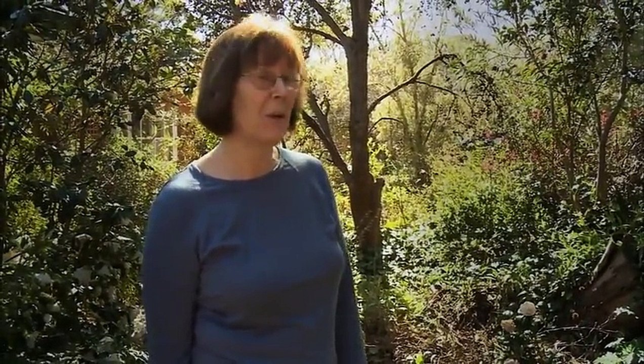 Kangaroo Mob - (Documentary Full Length)