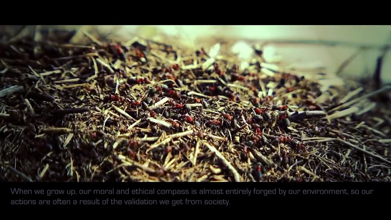 Human Brain And Quantum Physics