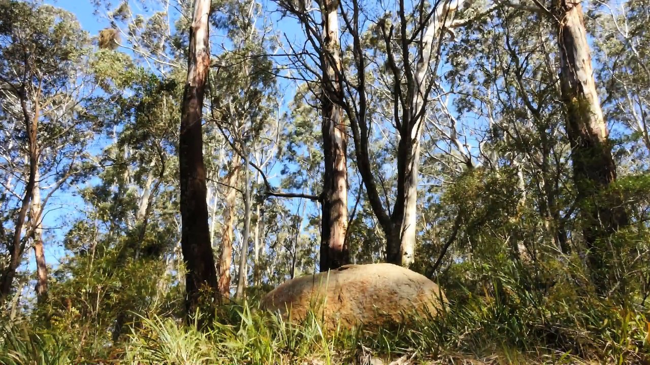 History of Australia